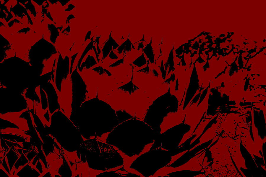 Artichoke Agave in Black and Burgandy Digital Art Post Processed Photograph Photograph by Colleen Cornelius