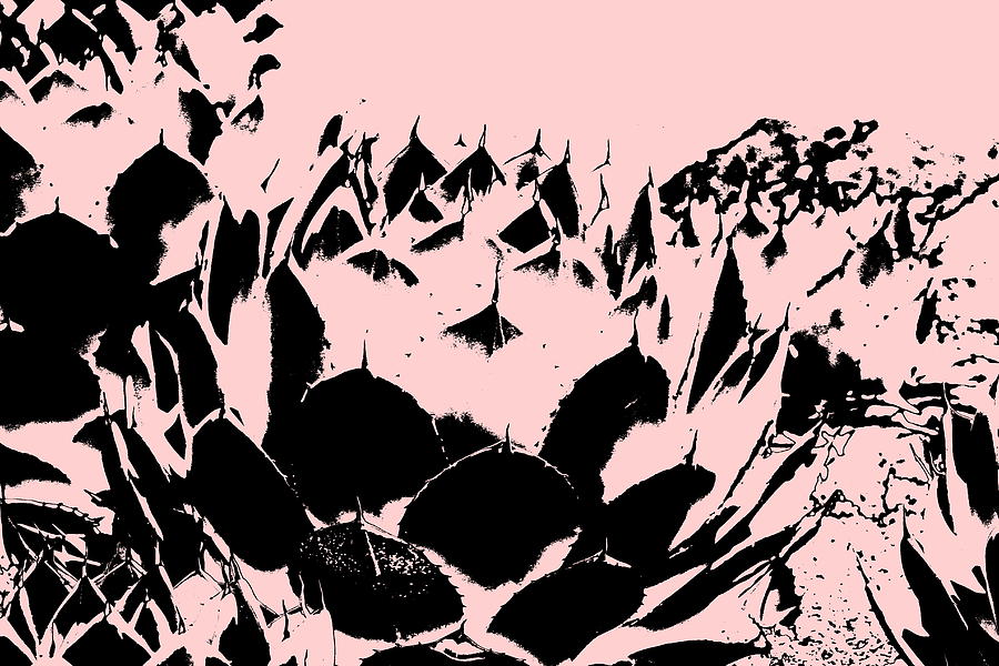 Artichoke Agave in Black and Mauve Digital Art Post Processed Photograph Photograph by Colleen Cornelius