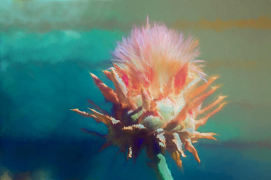 Artichoke Mixed Media - Artichoke Flower Abstract by Terry Davis