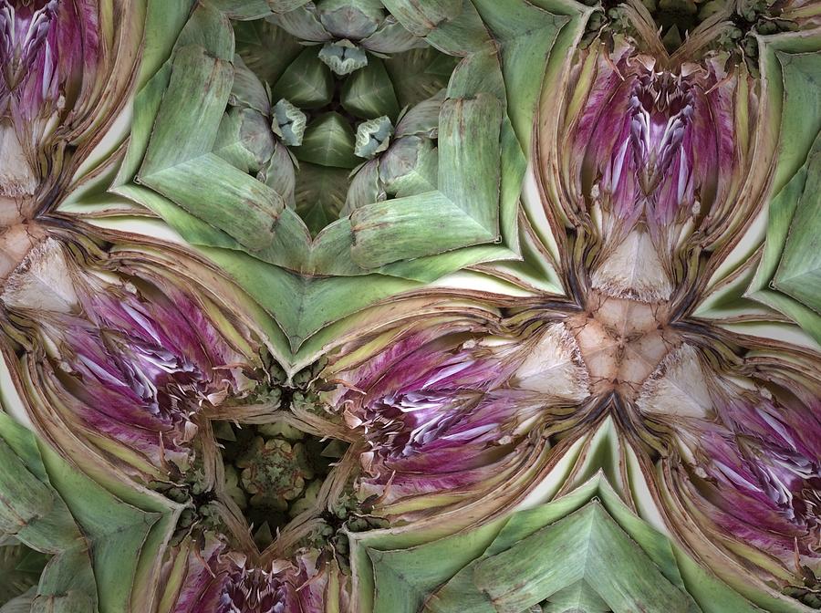 Nature Photograph - Artichoke Heart by Sylvan Adams Nature Photograph - Artichoke Heart by Sylvan Adams