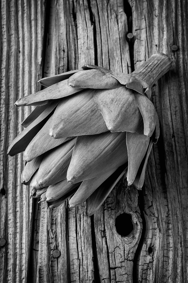 Artichoke In Black And White Photograph by Garry Gay