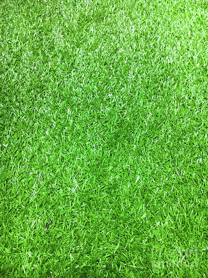 Artificial grass detail Photograph by Tom Gowanlock