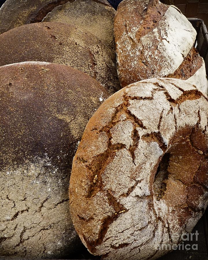 Artisanal Breads Photograph by Dee Flouton