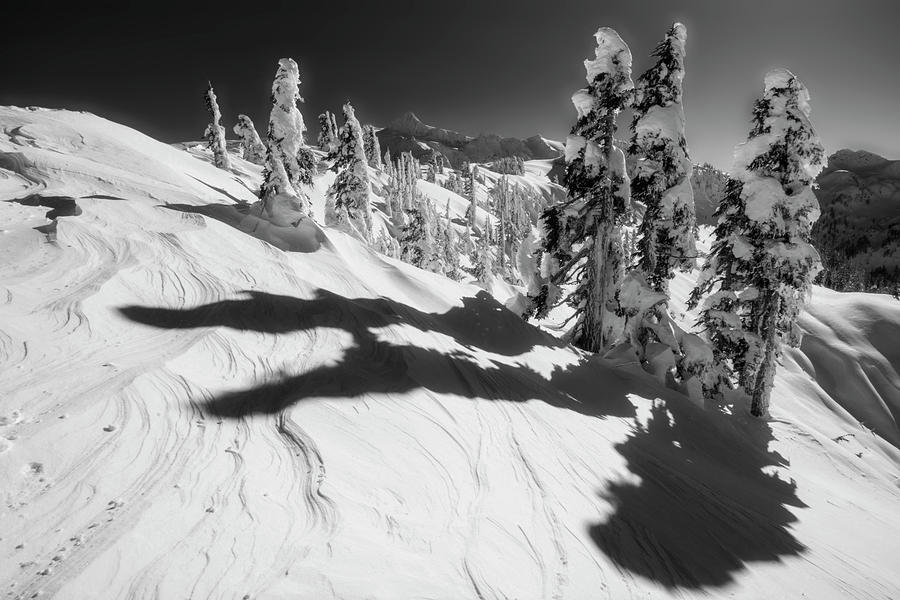 Artist Point Black and White Photograph by Pelo Blanco Photo