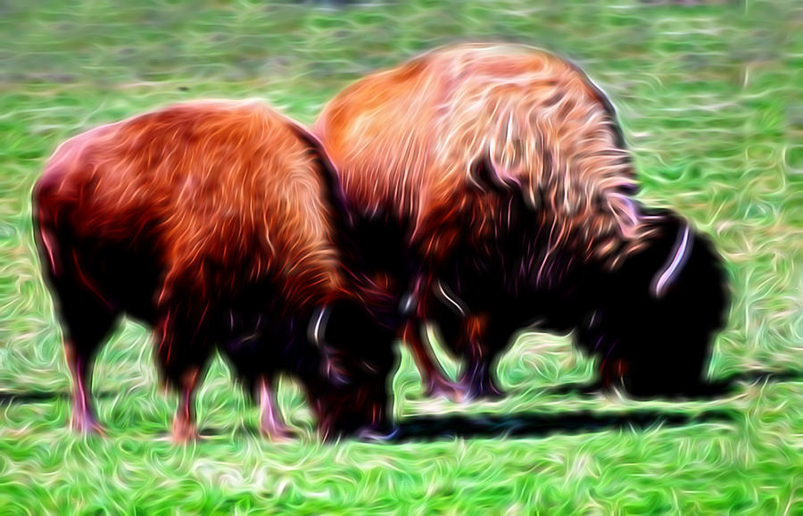 Artistic American Bison Photograph by Linda Phelps