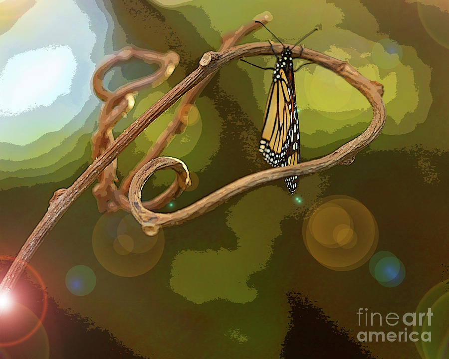Artistic Butterfly on Stick Photograph by Luana K Perez