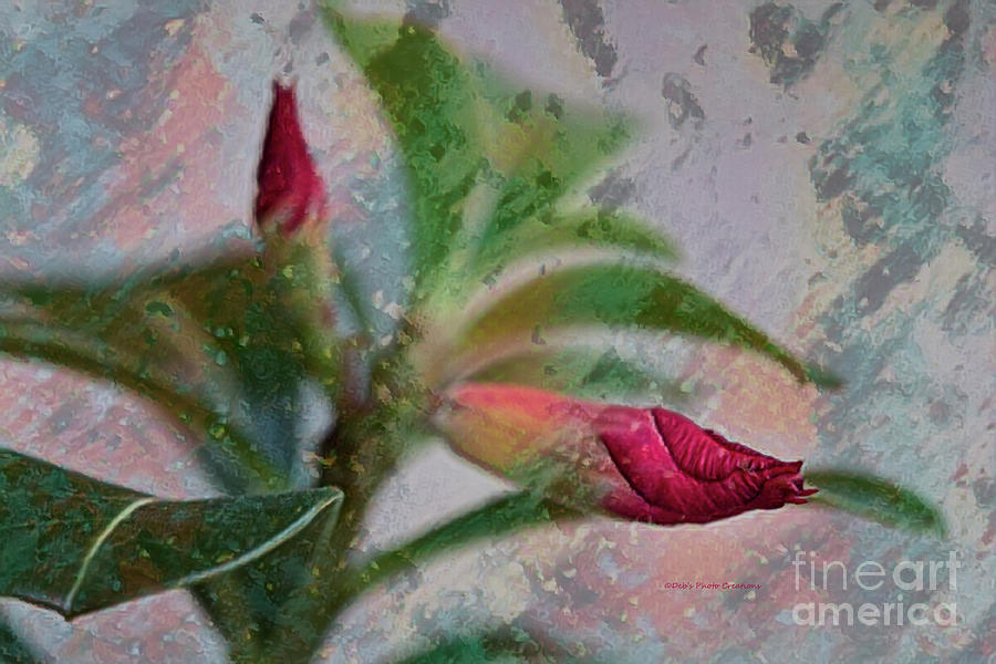 Nature Mixed Media - Artistic Desert Rose by Deborah Benoit