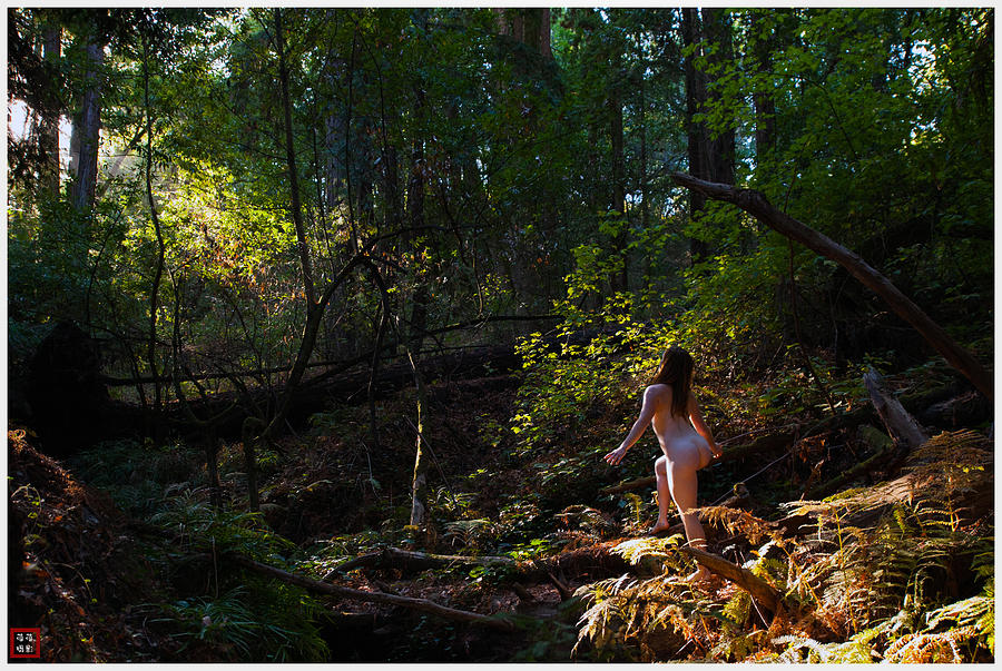 Artistic Female Nude In Nature #14 Photograph by Catherine Lau