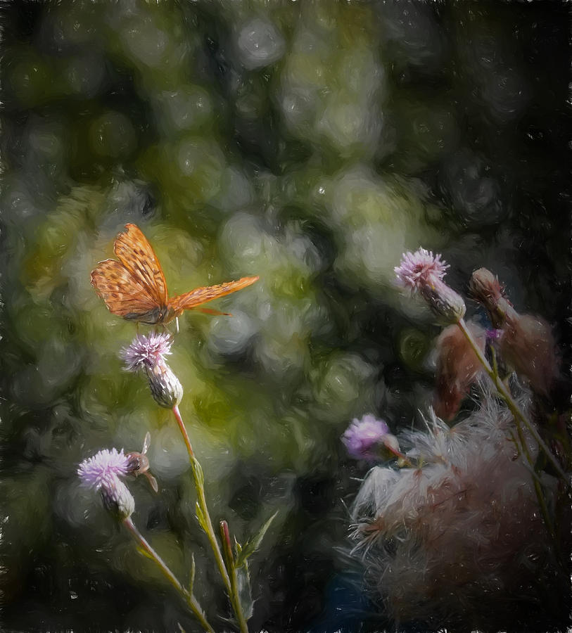 Artistic golden spotted butterfl Photograph by Leif Sohlman