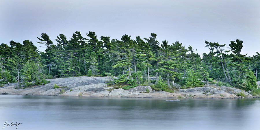 Landscape Photograph - Artistic Granite and Trees  by Phill Doherty