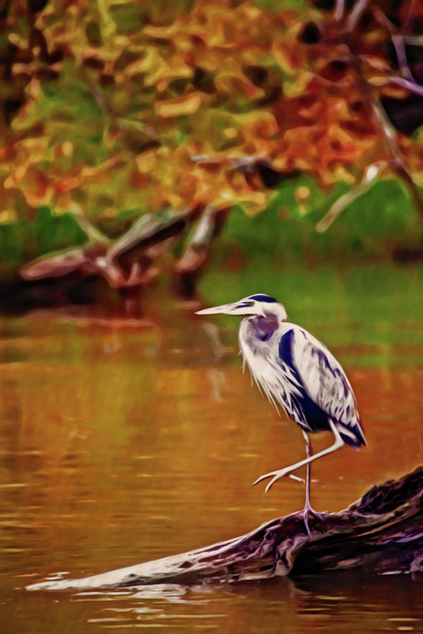 Artistic Great Blue Heron Digital Art by Don Johnson