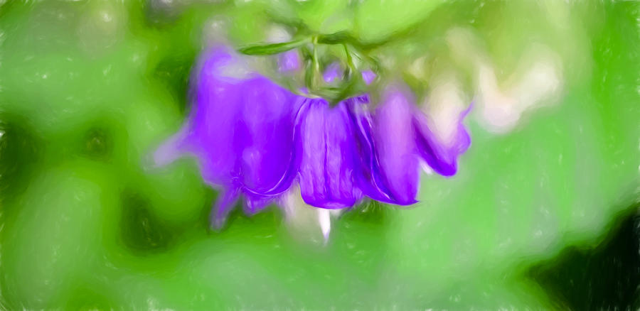 Artistic Harebells Or Bluebell Photograph by Leif Sohlman