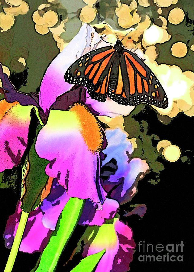 Artistic Iris and Butterfly  Photograph by Luana K Perez