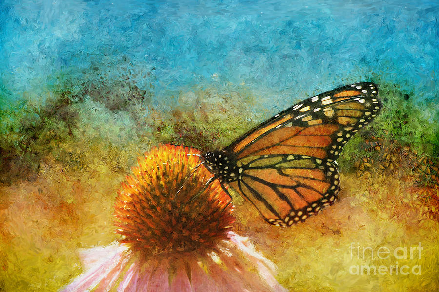 Monarch Butterfly Photograph - Artistic Monarch by Sari Sauls