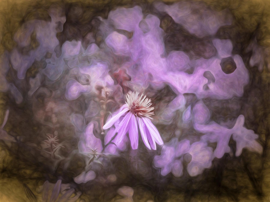 Flower Photograph - artistic painterly Asters blooming  by Leif Sohlman