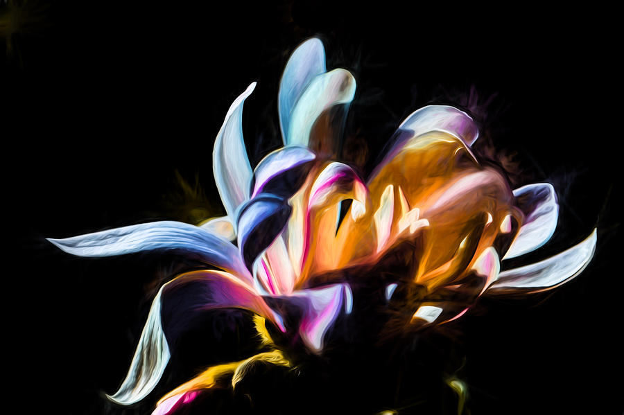 Artistic paiterly colored flower Photograph by Leif Sohlman