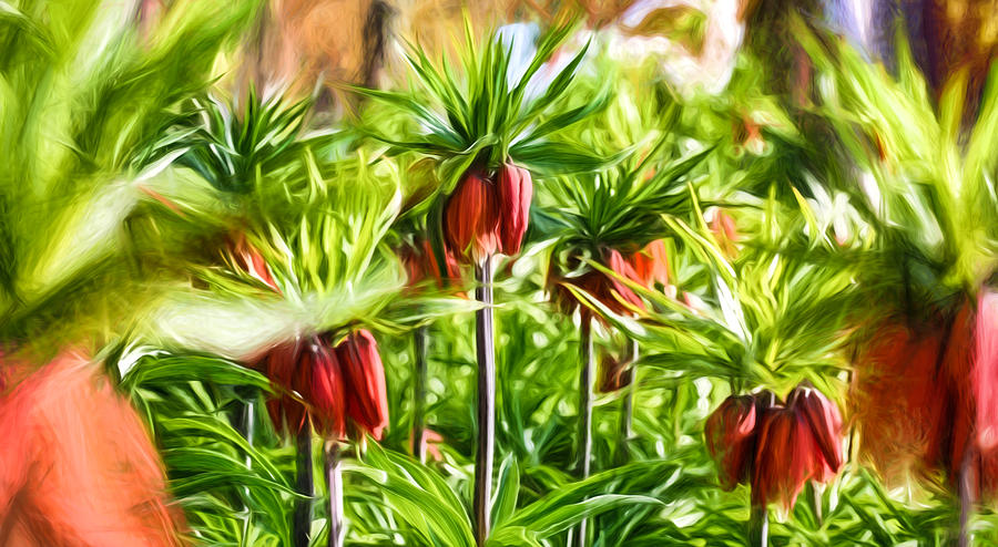 Flower Photograph - Artistic Paiterly Crown-imperial by Leif Sohlman