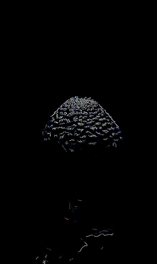 Artistic Parasol mushroom 3 Photograph by Leif Sohlman