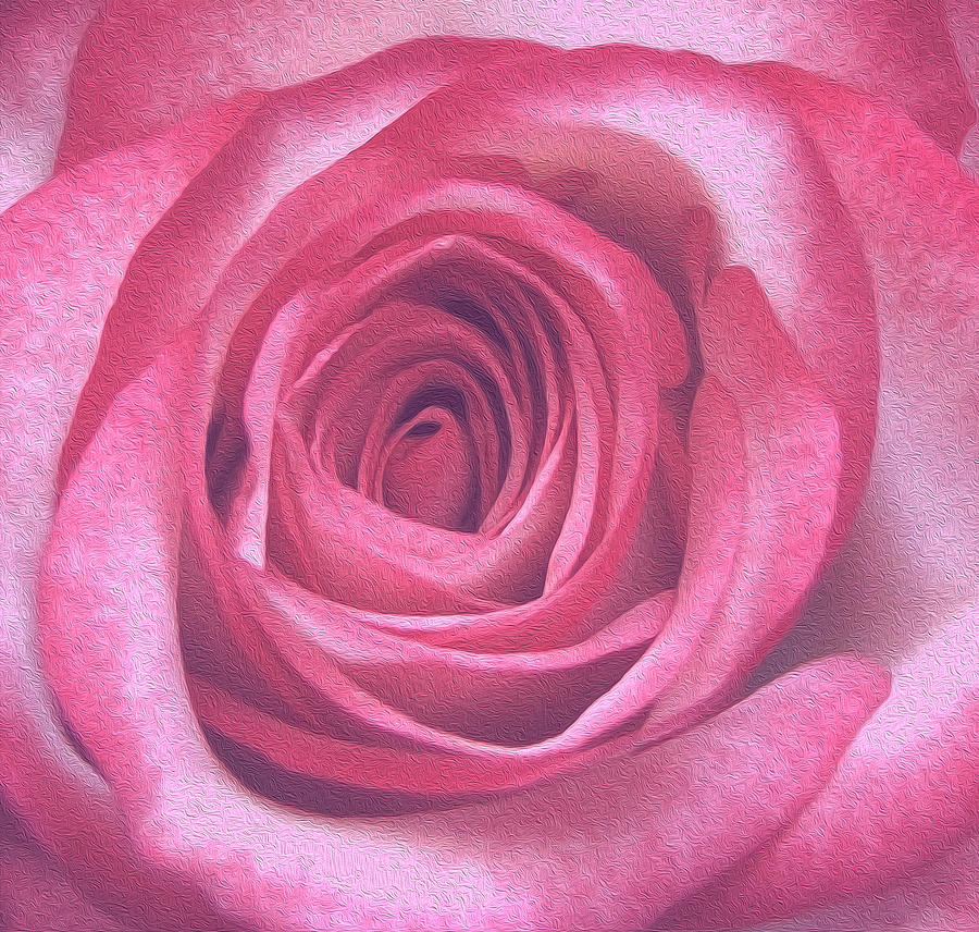 Artistic Red Rose Photograph by Johanna Hurmerinta