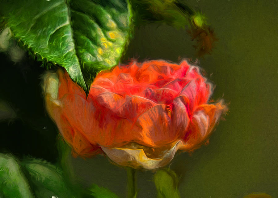 Artistic Rose and leaf Photograph by Leif Sohlman