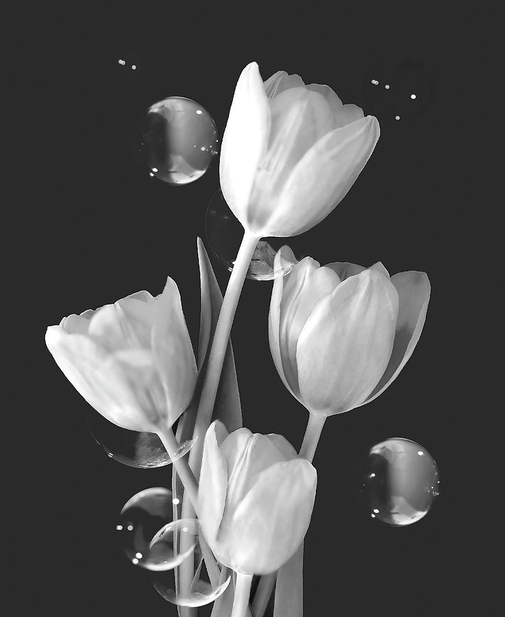 Artistic Tulip Bouquet 2  Photograph by Johanna Hurmerinta