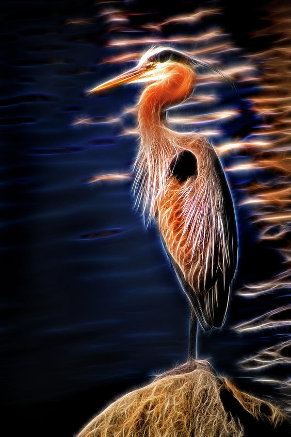 Artisticc Great Blue Heron Photograph by Don Johnson