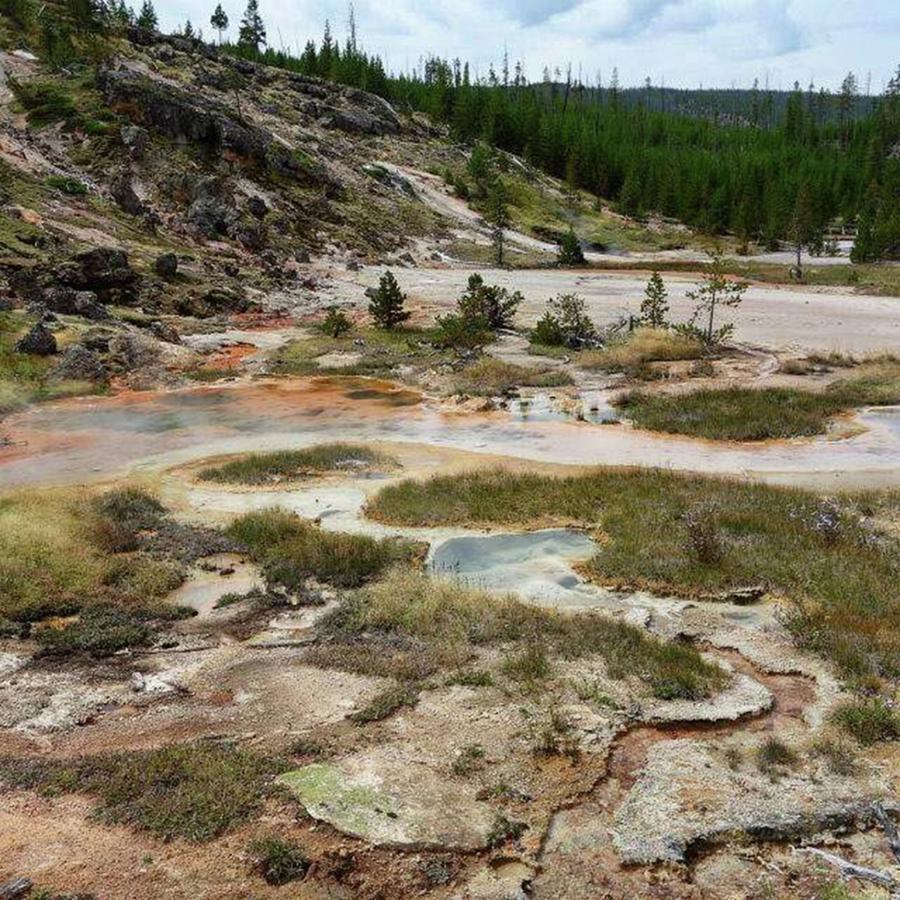 Yellowstone National Park Photograph - Artists Paint Pots Is A Cool Stop At by Patricia And Craig