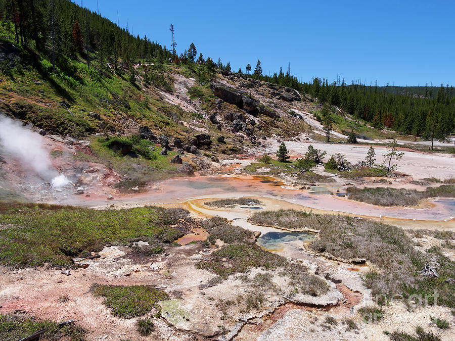 Artists Paintpots Yellowstone National Park Photograph by Louise Heusinkveld