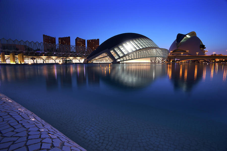 Arts And Science Museum Valencia Photograph by Graham