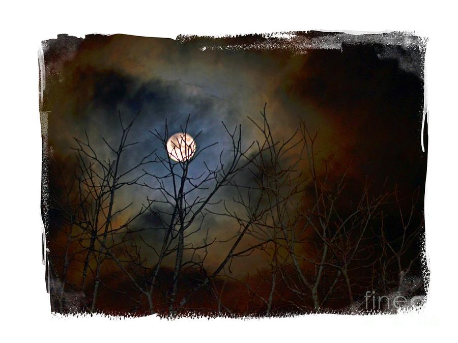 Artsy Moon Photograph by Lila Fisher-Wenzel