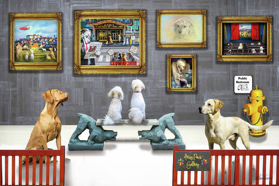 Artsy Paws Gallery Photograph by Diana Haronis