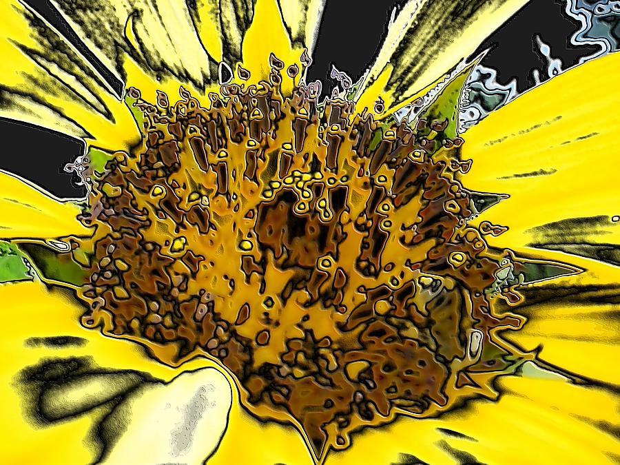 Artsy Sunflower Digital Art by Sonya Chalmers