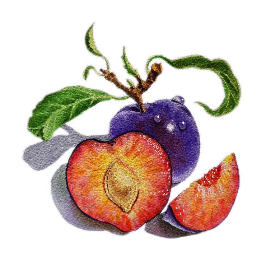 Fruit Painting - ArtZ Vitamins The Heart of A Plums by Irina Sztukowski