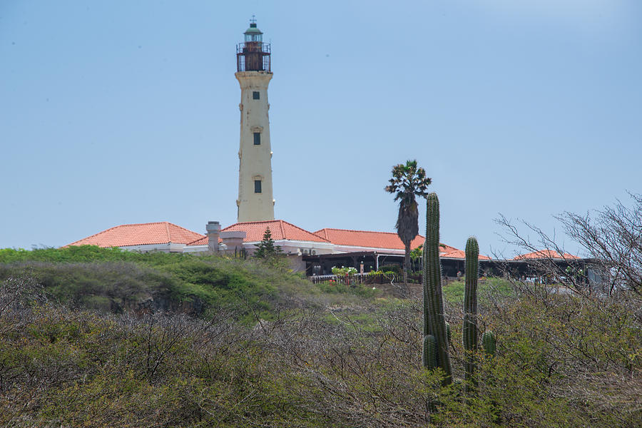 Vintage Photograph - Aruba California Lighthouse by JG Thompson