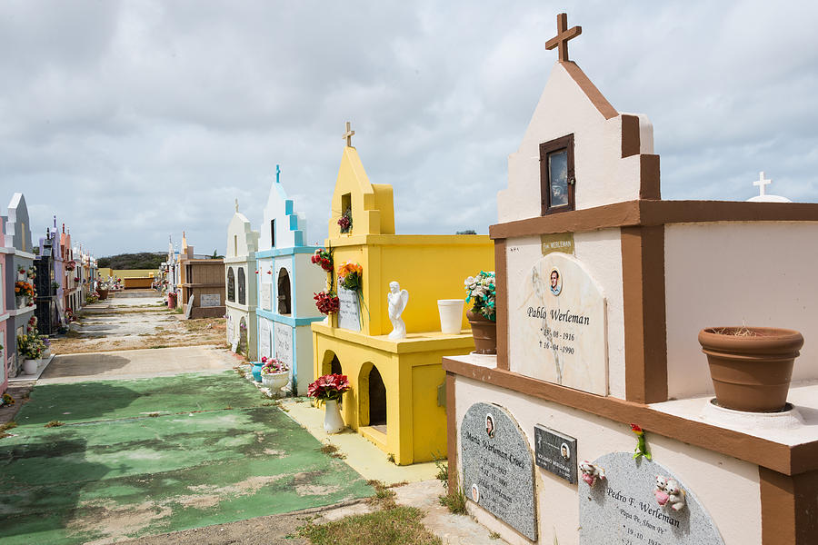 Aruba Cemetery Photograph by JG Thompson - Fine Art America