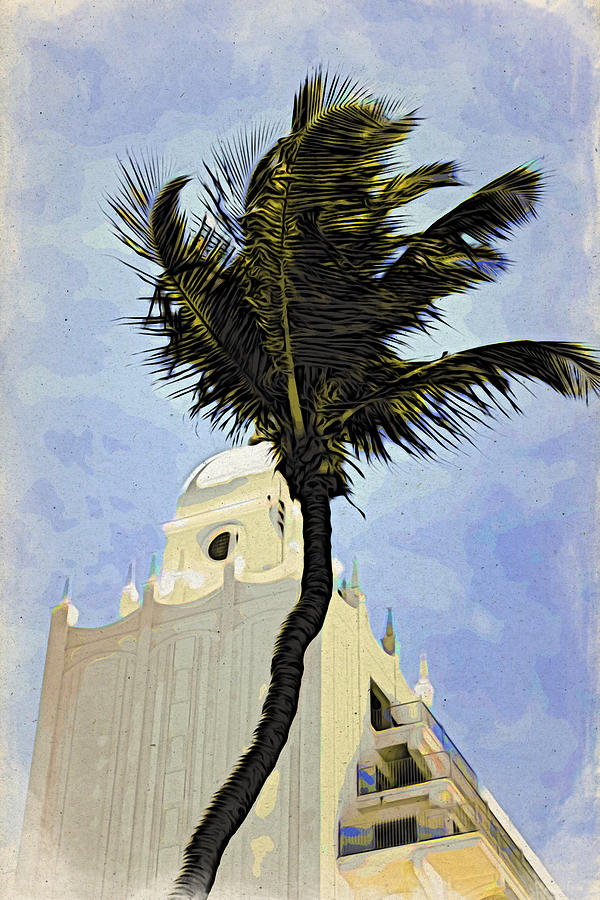 Aruba Palm Photograph by Alice Gipson