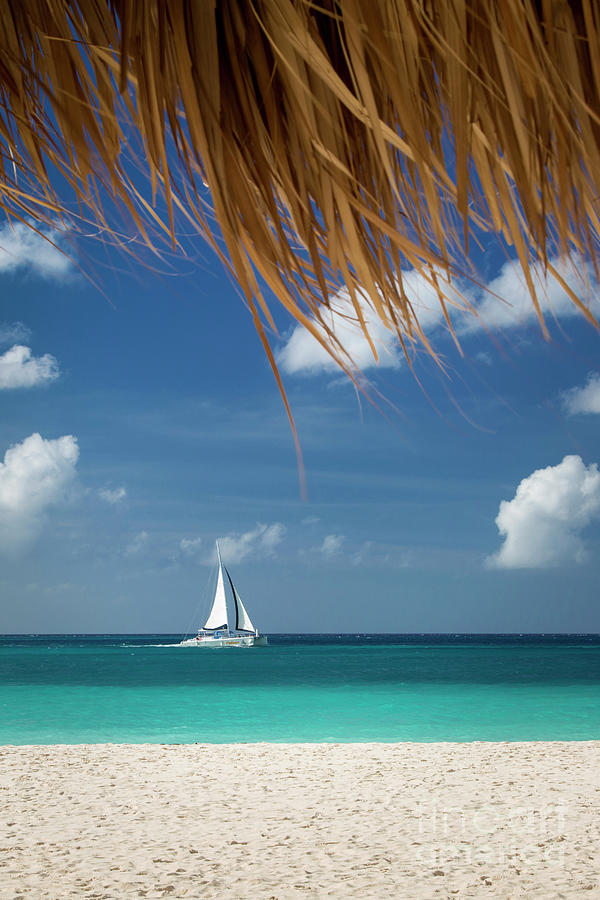Aruba Sailboat Photograph by Brian Jannsen