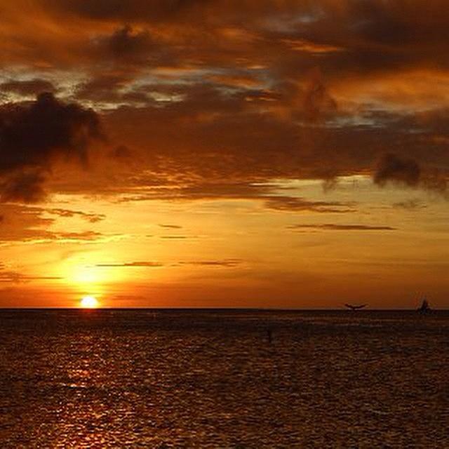 Sunset Photograph - Aruba Sunset, Doesnt Get Any Better by Julie Winters