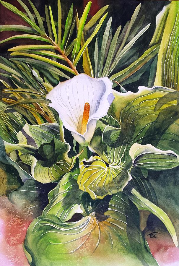 Arum Lily Painting by Tammy Crawford - Fine Art America