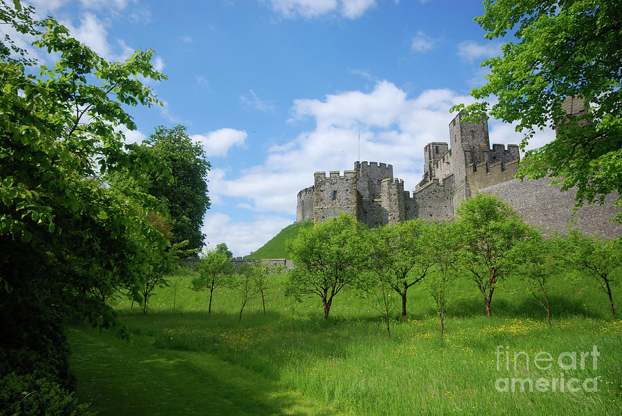 Castle Photograph - Arundel Castle by Richard Gibb