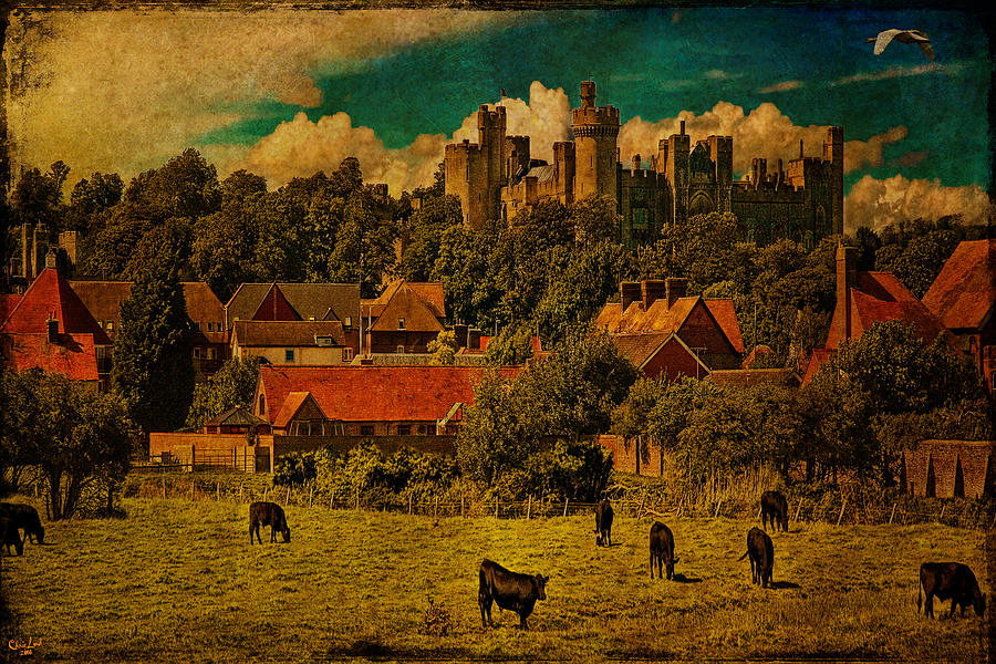Arundel Castle with Cows Photograph by Chris Lord