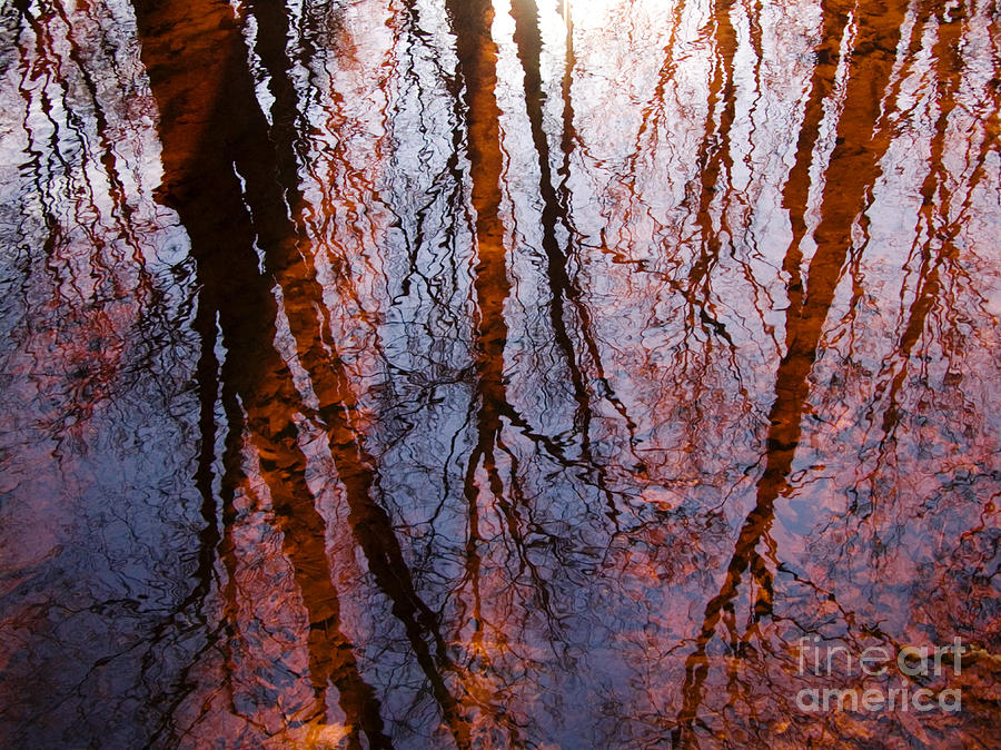 Abstract Photograph - As Above So Below by Joanne Baldaia - Printscapes