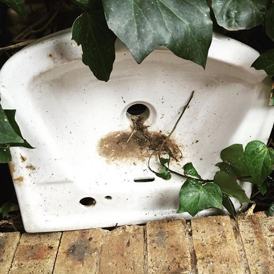 Sink Photograph - As I Learn More About Photography, I by Devin Workman