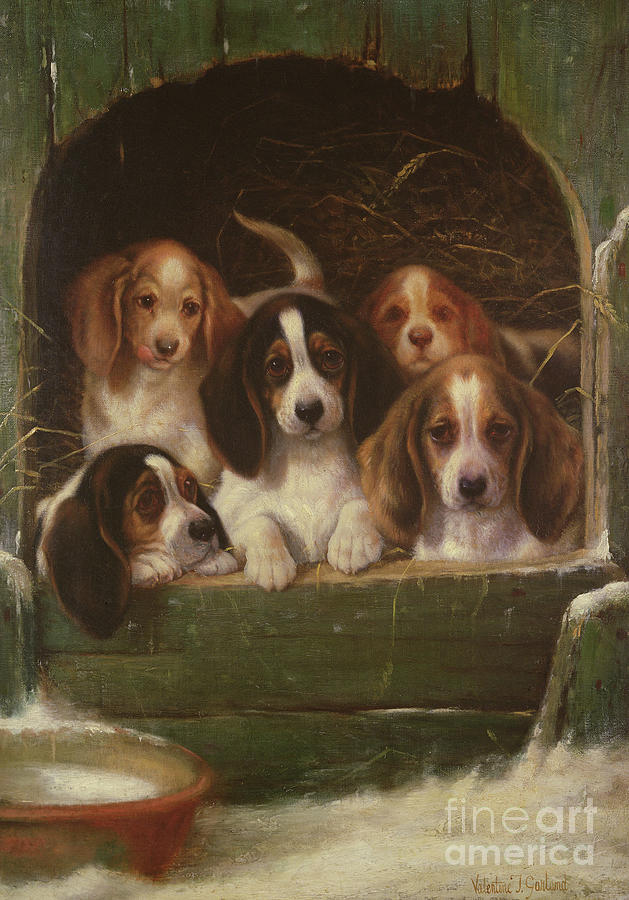 Dog Painting - As snug as a bug in a rug by Valentine Thomas Garland