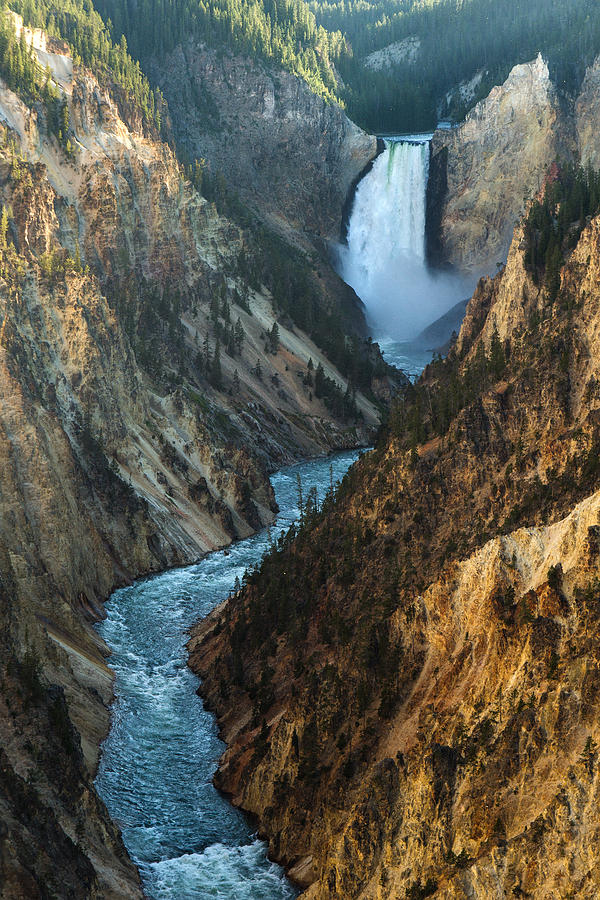 As strong as life Photograph by Nick Libre - Fine Art America