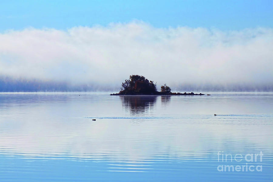 Nature Photograph - As the Fog Clears by Cathy Beharriell