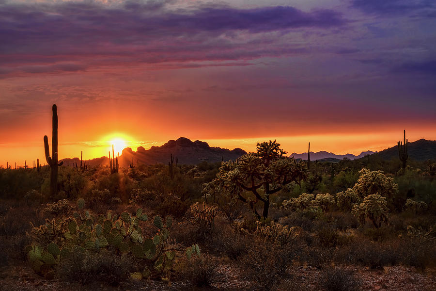 As The Sun Sets on the Sonoran  Photograph by Saija Lehtonen