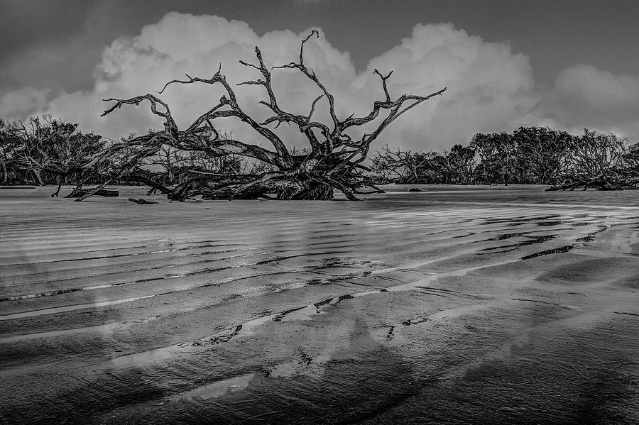 As the Tide Goes Out in Black and White Photograph by Debra and Dave Vanderlaan