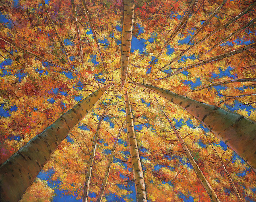 Aspen Trees Painting - Ascension by Johnathan Harris