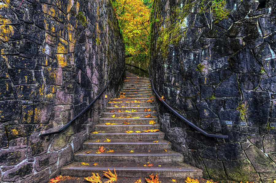 Ascent to Autumn Photograph by Mark Kiver